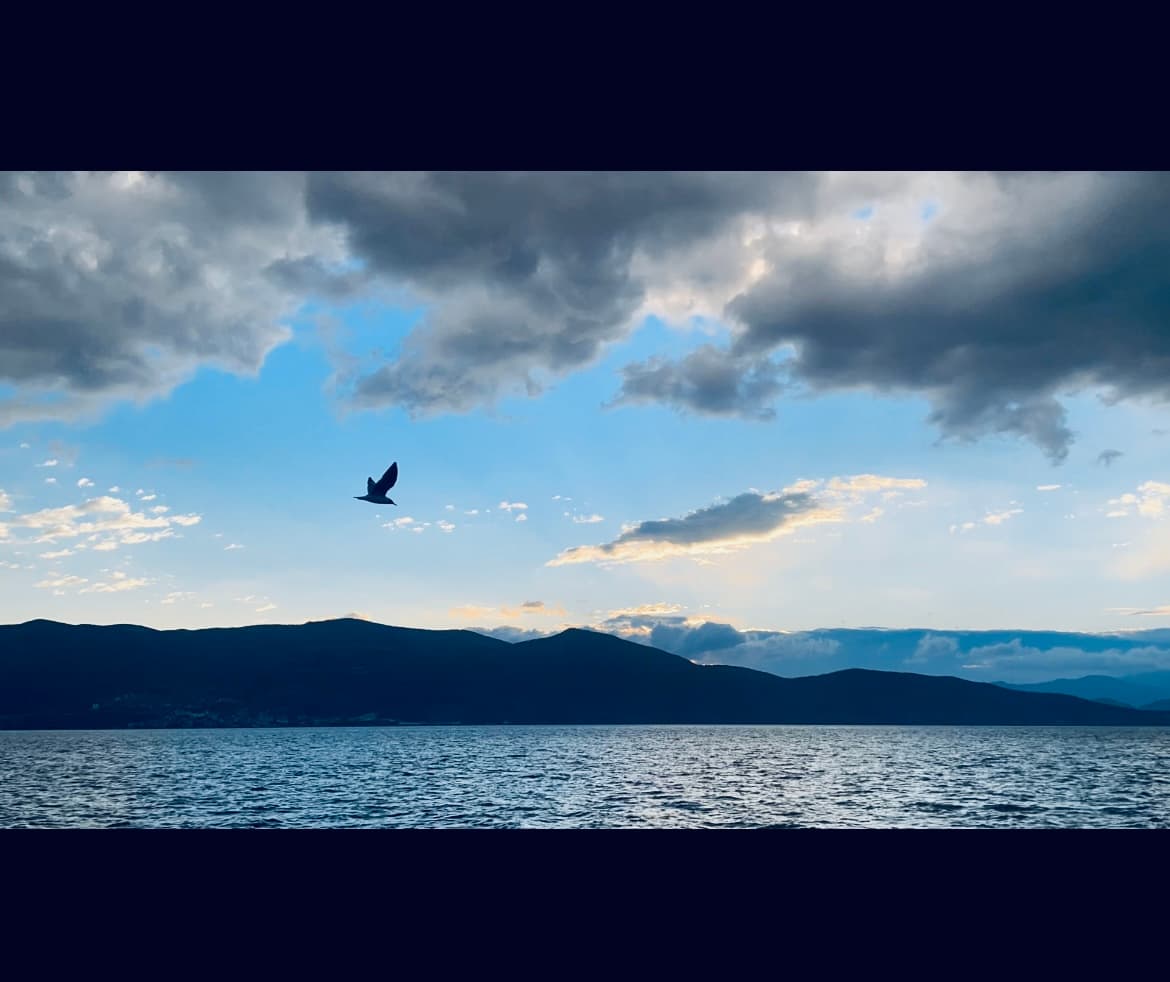 在大理早上看日出,当时误点延时摄影,刚好就拍到一只海燕飞过去了