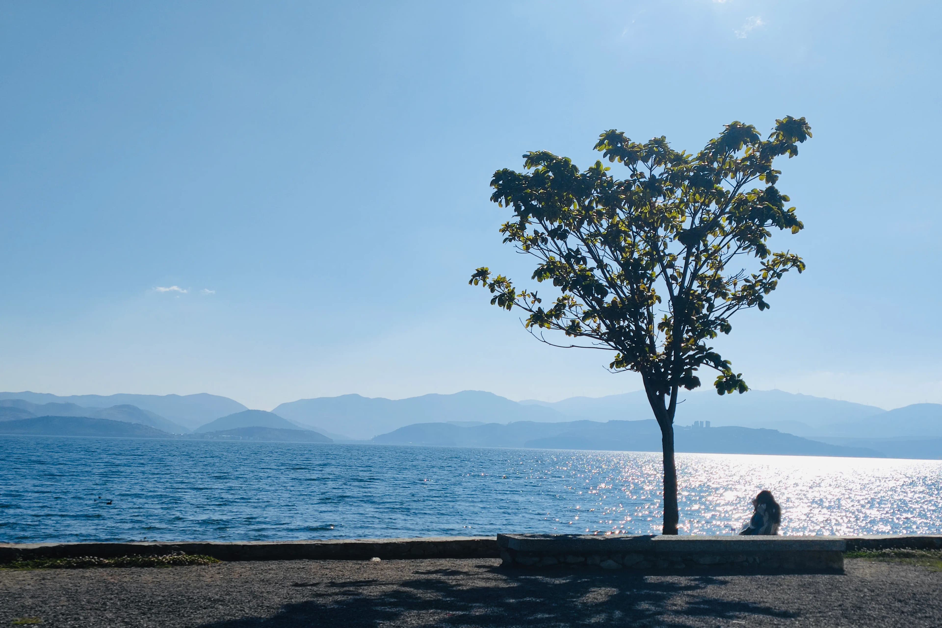 去大理玩的时候,看到一个女孩子看着洱海发呆 ,就随手拍了一张